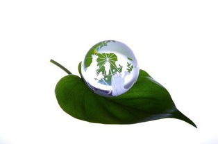 睿容環(huán)保 凈睿產品如何成為環(huán)保事業(yè)發(fā)展的核心引擎