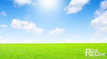 睿容空氣凈化器加盟指南 加盟費、官網、條件流程及政策支持解析